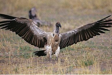 夏日游戏节开场白力挺开发者：请游戏大厂善待他们