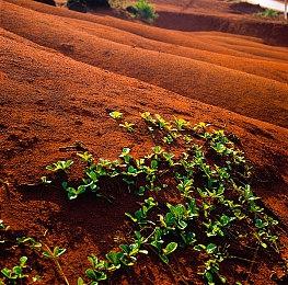 Xbox推文引发《神鬼寓言》新作讨论 官方澄清误会