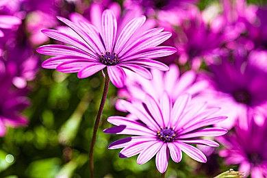 1月PS+欧美服二＆三档新增游戏 《喋血复仇》等入库